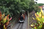 Busch Gardens Railroad